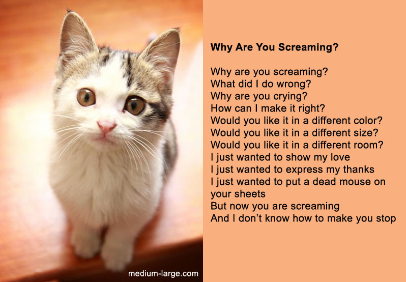 [Image: cat-poem-scream2.jpg]