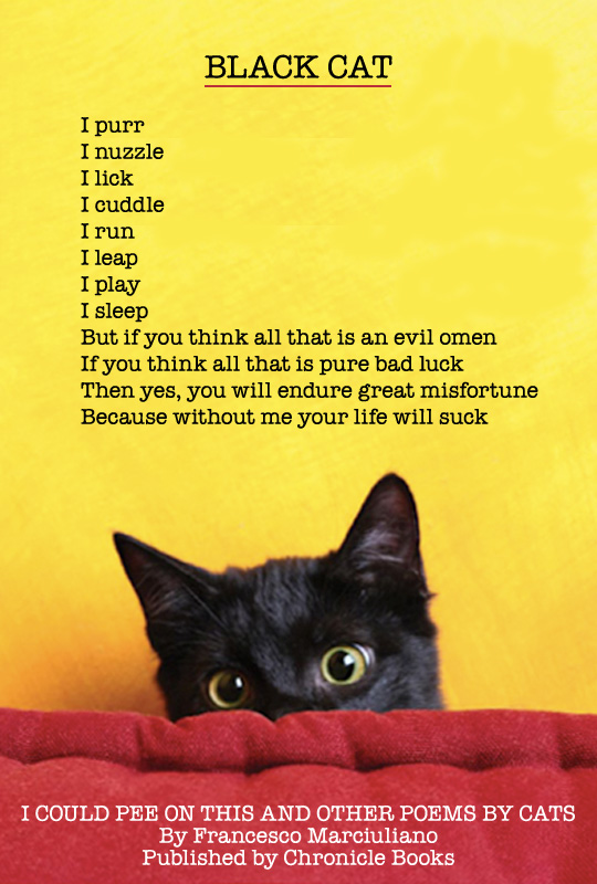 ... Poem by the Feline Authors of â€œI Could Pee on This and Other Poems